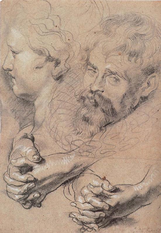 Peter Paul Rubens Head and hand-s pencil sketch oil painting picture